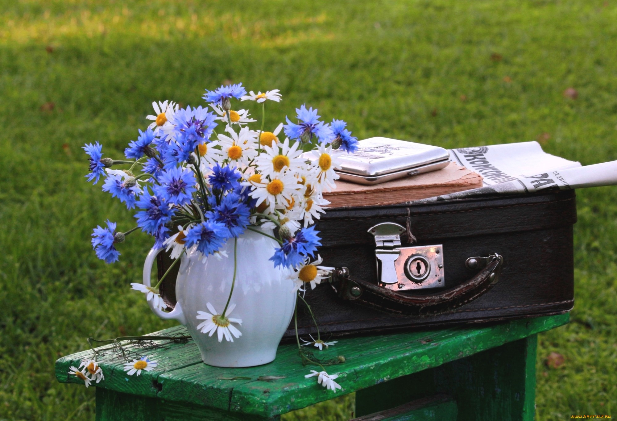 Бережно цветы. Цветы в чемодане. Ромашки и васильки. С днём рождения полевые цветы. Ромашки с васильками.